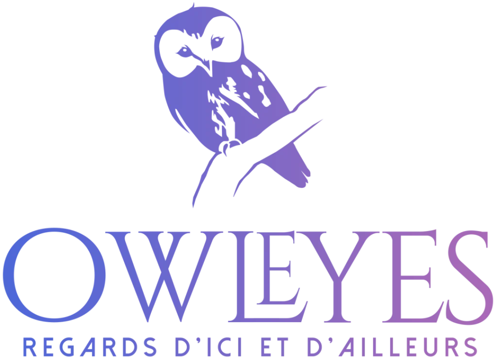 Logo OwlEyes - Regards d'ici et d'ailleurs